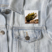 BOMEN VIERKANTE BUTTON 5,1 CM (In situ)