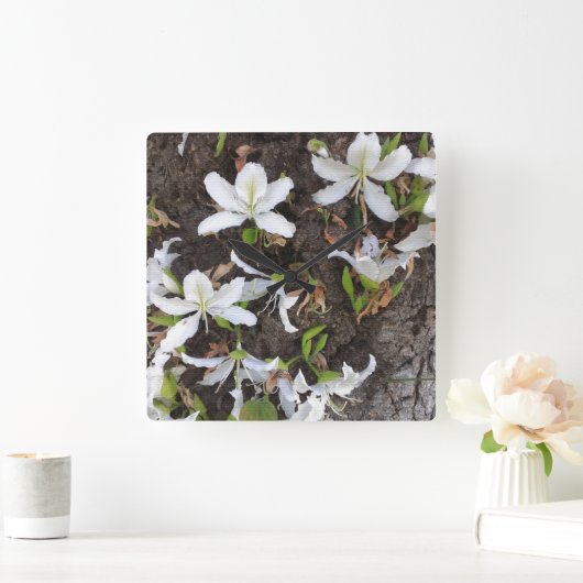 Bomen Vierkante Klok (Huis)