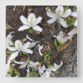 Bomen Vierkante Klok (Voorkant)