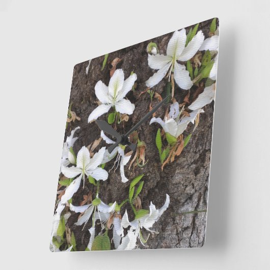 Bomen Vierkante Klok (Hoek)