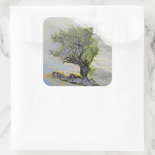 BOMEN VIERKANTE STICKER (Tas)