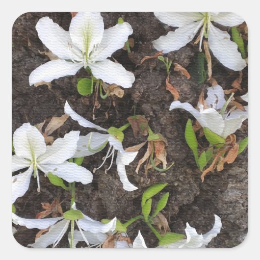 Bomen Vierkante Sticker (Voorkant)