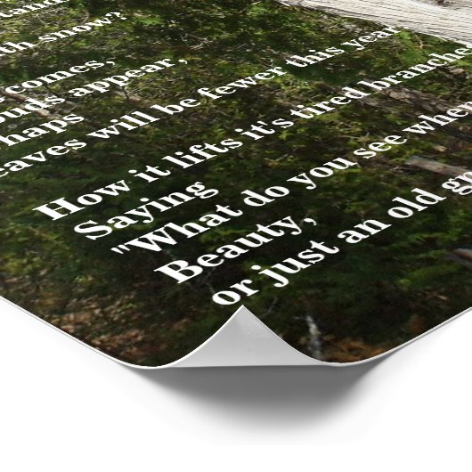 Bomen voor Arbor Day Poster (Hoek)