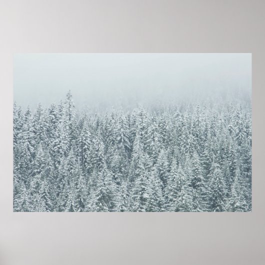 BOMEN VOOR SNEEUW POSTER (Voorkant)