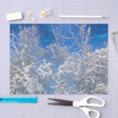 Bomen Winter Sneeuw Overdekt Blauwe Hemel Geschild Tissuepapier (Craft)