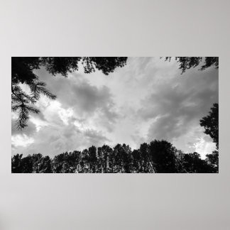 Bomen & Wolken, Poster