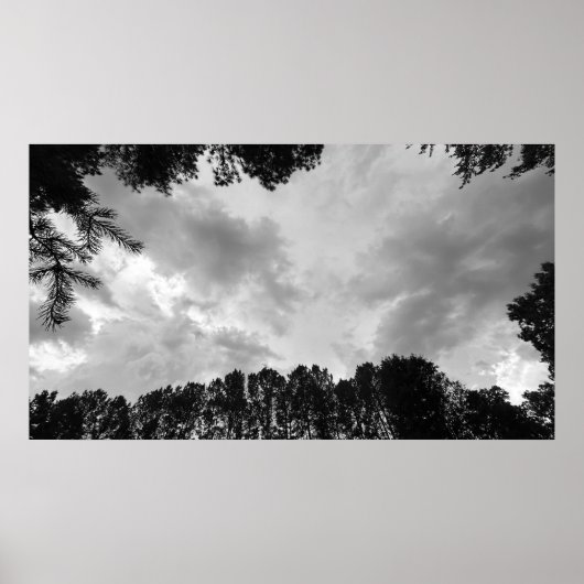 Bomen & Wolken, Poster (Voorkant)