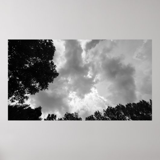 Bomen & Wolken, Poster (Voorkant)