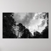 Bomen & Wolken, Poster (Voorkant)