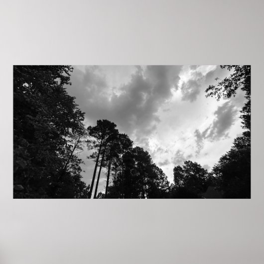 Bomen & Wolken, Poster (Voorkant)
