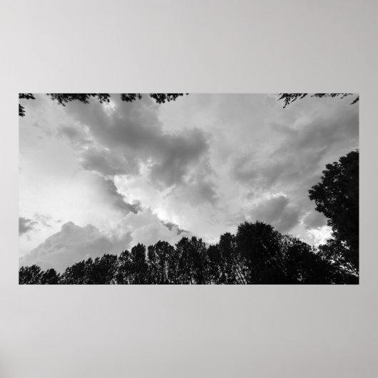 Bomen & Wolken, Poster (Voorkant)