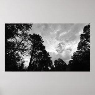 Bomen & Wolken, Poster