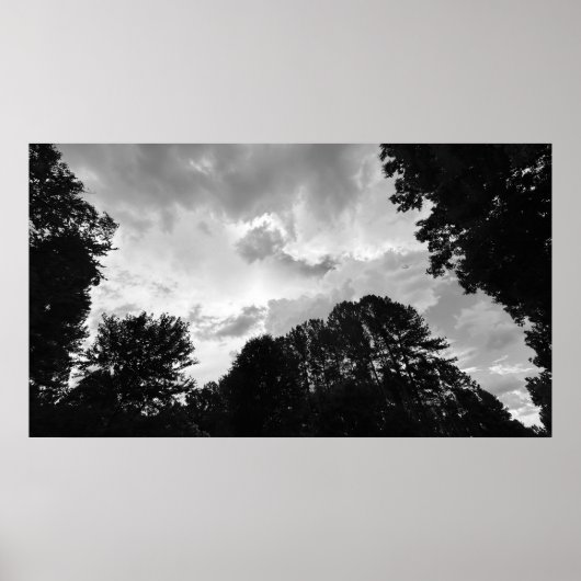 Bomen & Wolken, Poster (Voorkant)