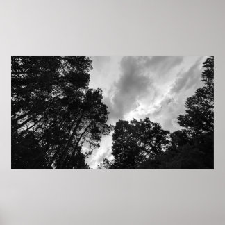 Bomen & Wolken, Poster