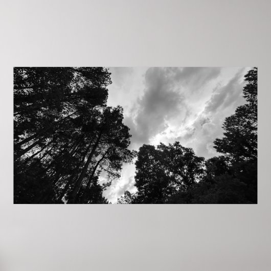 Bomen & Wolken, Poster (Voorkant)
