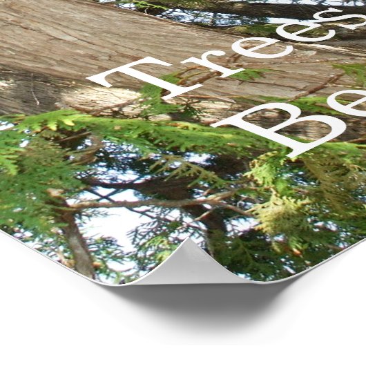 Bomen zijn prachtig — Cedar Tree Poster (Hoek)