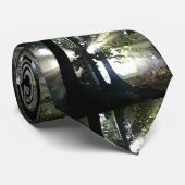 Bomen - Zonlicht door bos Stropdas (Opgerold)