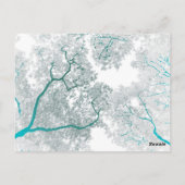 Bomenkaart 3 briefkaart (Achterkant)