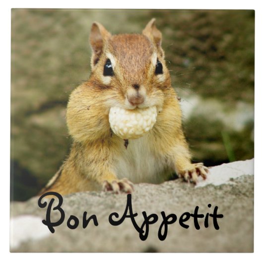 Bon Appetit Chipmunk Trivet Tegeltje (Voorkant)