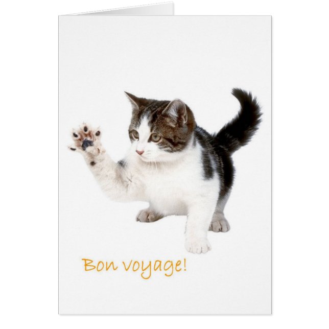 Bon Voyage! (Voorkant)