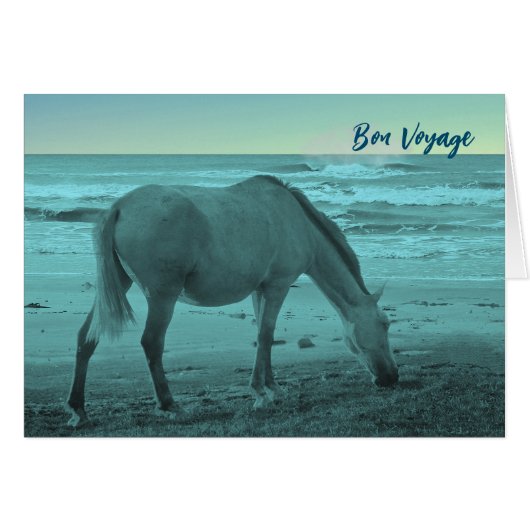 Bon Voyage Horse Near Lake Michigan (Voorkant Horizontaal)