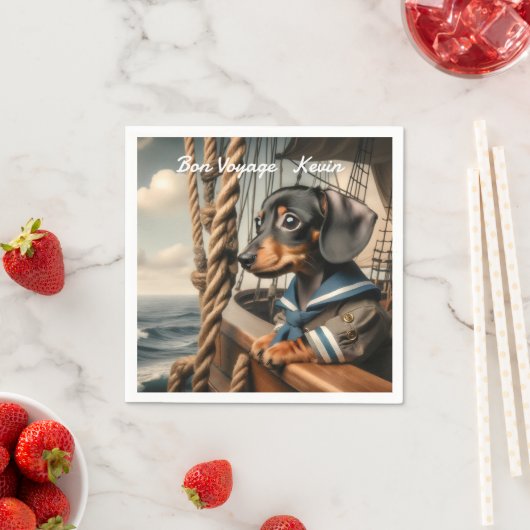 BON VOYAGE SERVET (Insitu)