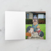 Bon Voyagecruise Kaart (Binnen)