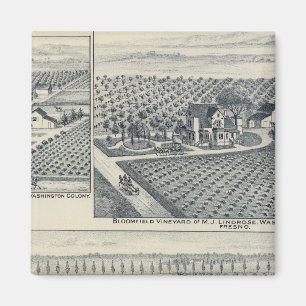 Bonacourt Ranch, Washington Colony, Californië Magneet