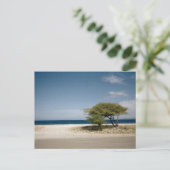 Bonaire boom briefkaart (Staand voorkant)