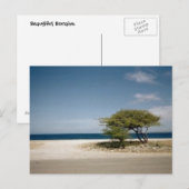 Bonaire boom briefkaart (Voorkant / Achterkant)