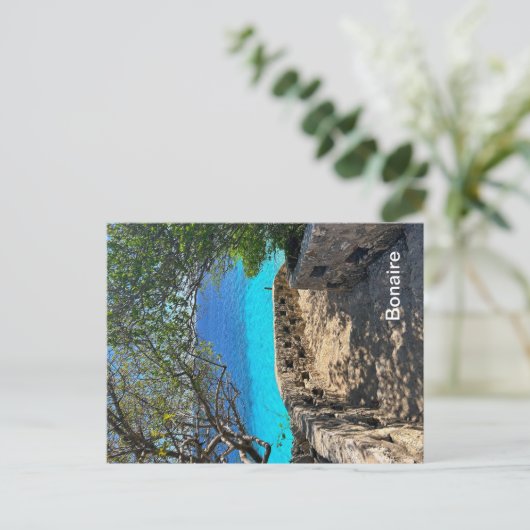 Bonaire Briefkaart (Staand voorkant)