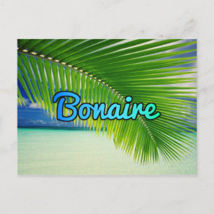 Bonaire Briefkaart