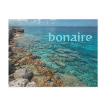 Bonaire bries