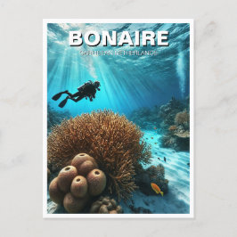 Bonaire Caribisch Nederland Scuba Diver Diving Briefkaart