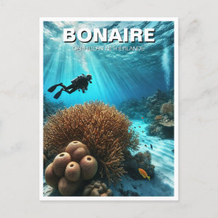 Bonaire Caribisch Nederland Scuba Diver Diving Briefkaart