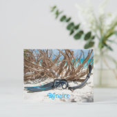 Bonaire divers paradise briefkaart (Staand voorkant)