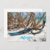 Bonaire divers paradise briefkaart (Voorkant / Achterkant)