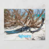 Bonaire divers paradise briefkaart (Voorkant)