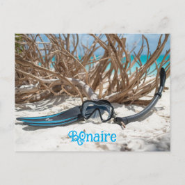 Bonaire divers paradise briefkaart