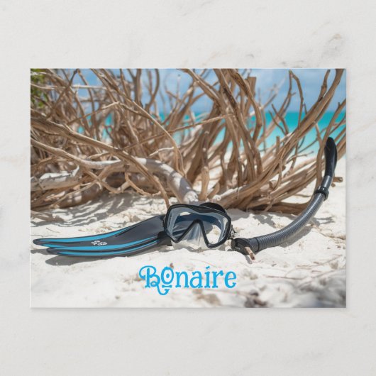 Bonaire divers paradise briefkaart (Voorkant)