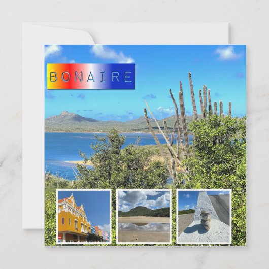 Bonaire Foto Collage platte kaart (Voorkant)