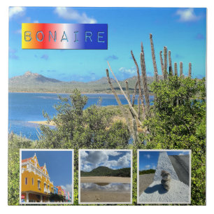 Bonaire fotocollage tegeltje