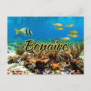 Bonaire koraalrif briefkaart