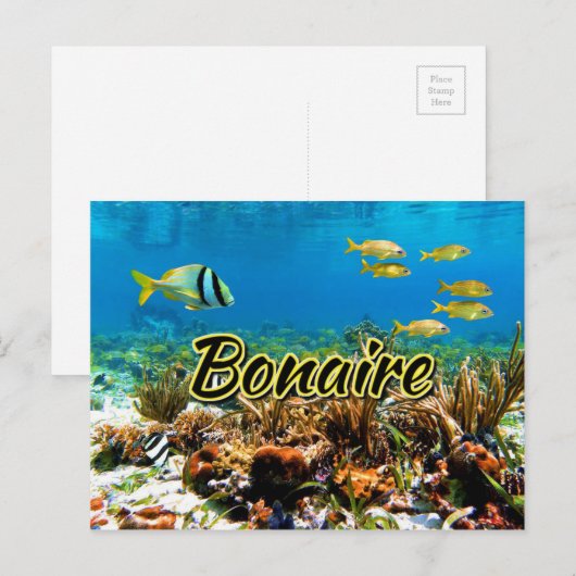 Bonaire koraalrif briefkaart (Voorkant / Achterkant)