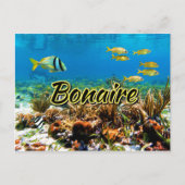 Bonaire koraalrif briefkaart (Voorkant)
