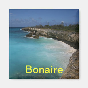 Bonaire magneet