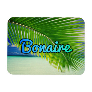 Bonaire Magneet