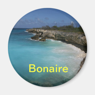Bonaire magneet