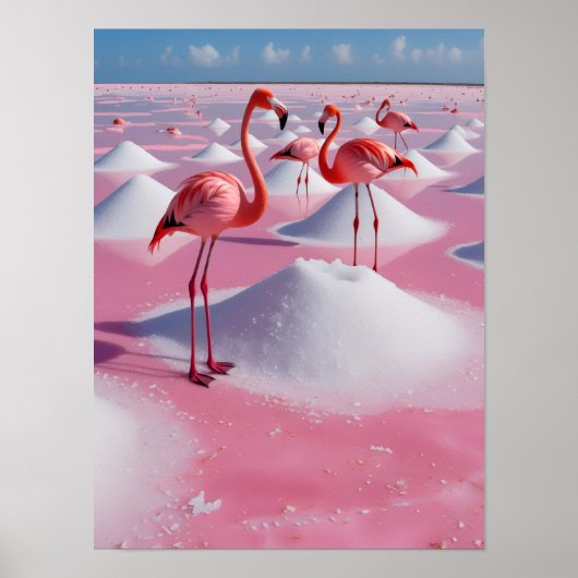 Bonaire roze poster (Voorkant)