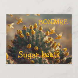 Bonaire sugarkeets briefkaart